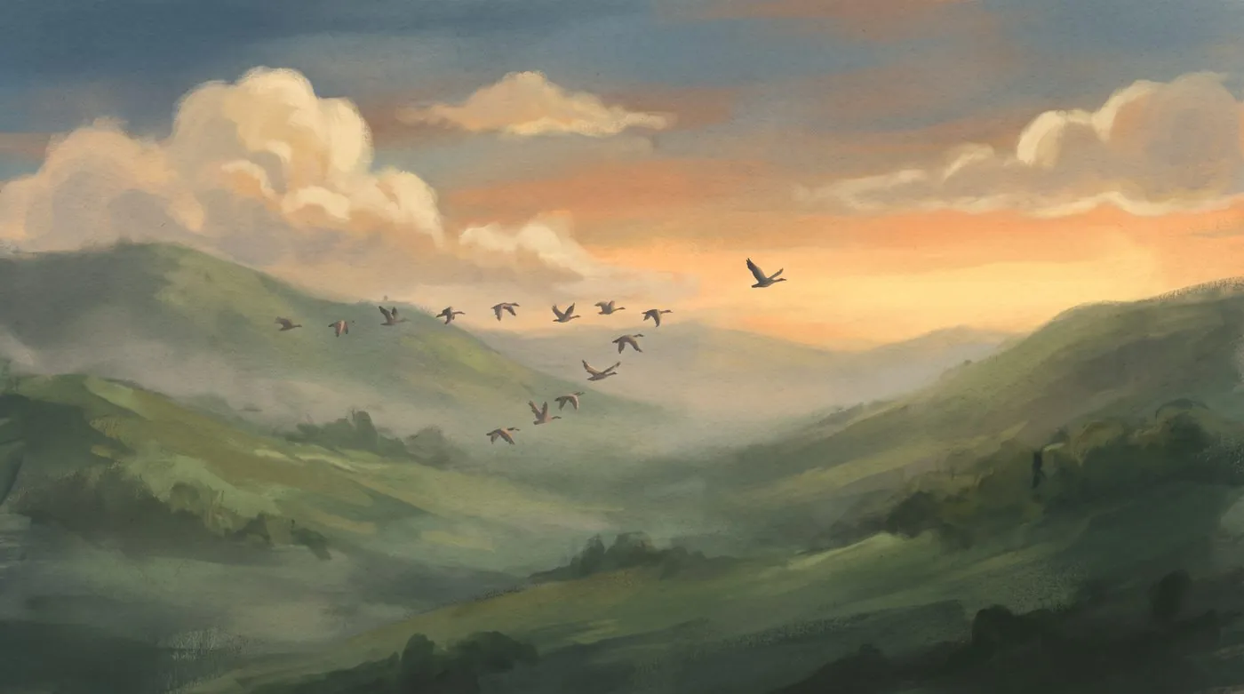 A flock of birds over a valley at dusk, one breaking away